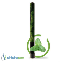 Shishapen mint